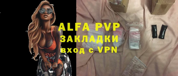 стаф Белокуриха