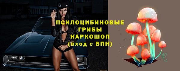 мяу мяу мука Беломорск