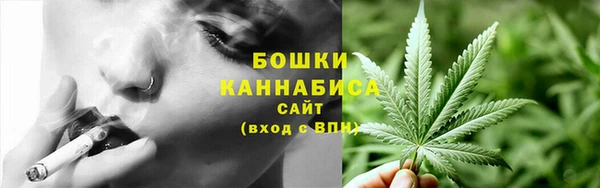 стаф Белокуриха