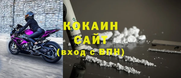 стаф Белокуриха