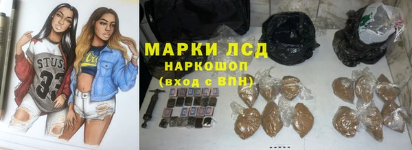 индика Бронницы